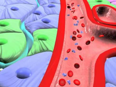 Type 2 Diabetes and DPP4-inhibitors