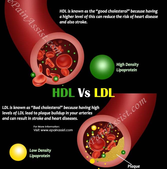 Difference in HDL and LDL