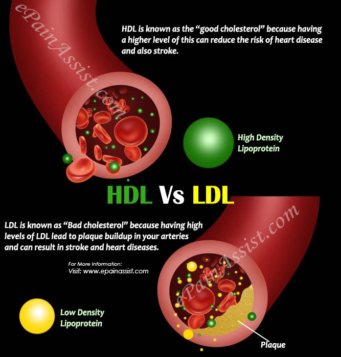 Difference In HDL And LDL Medication Management LLC