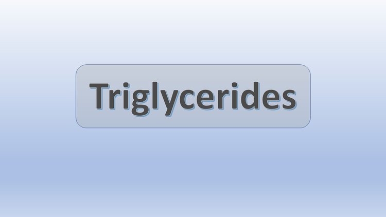 Reasons for High Triglycerides