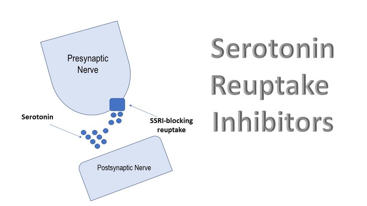 Neurotransmitters and Anti Depressants